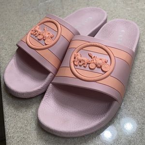EUC Coach Slides